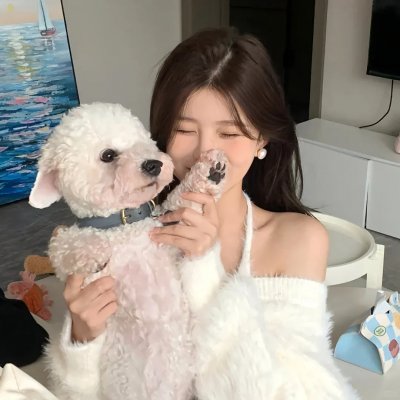 狗与剪刀的正确用法